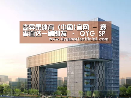 案例展示四(图1) 案例展示四(图1)