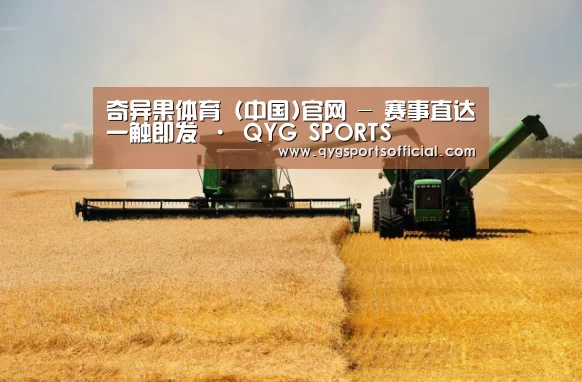 产品名称八(图1)