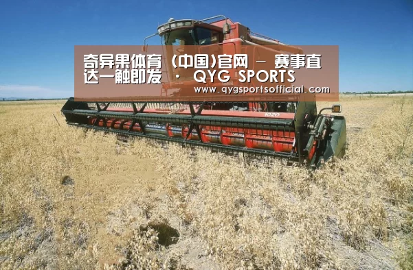 产品名称三