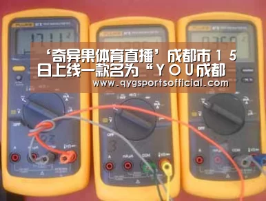 奇异果体育官网入口