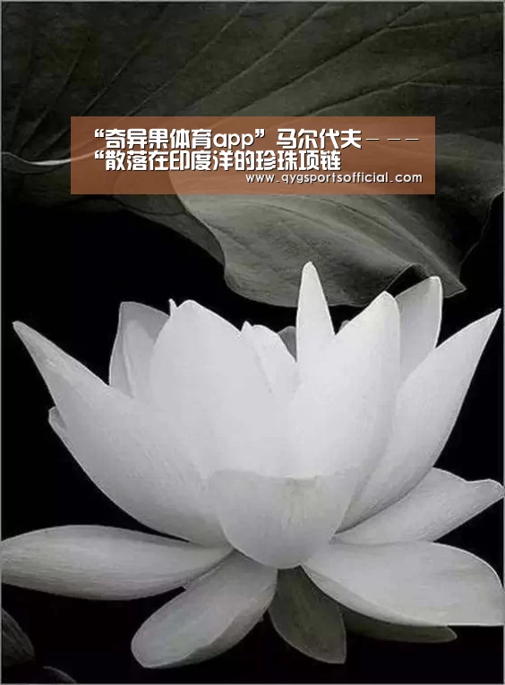 “奇异果体育app”马尔代夫---“散落在印度洋的珍珠项链(图4) 奇异果体育