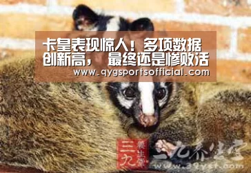 卡皇表现惊人！多项数据创新高， 最终还是惨败活塞-奇异果体育直播